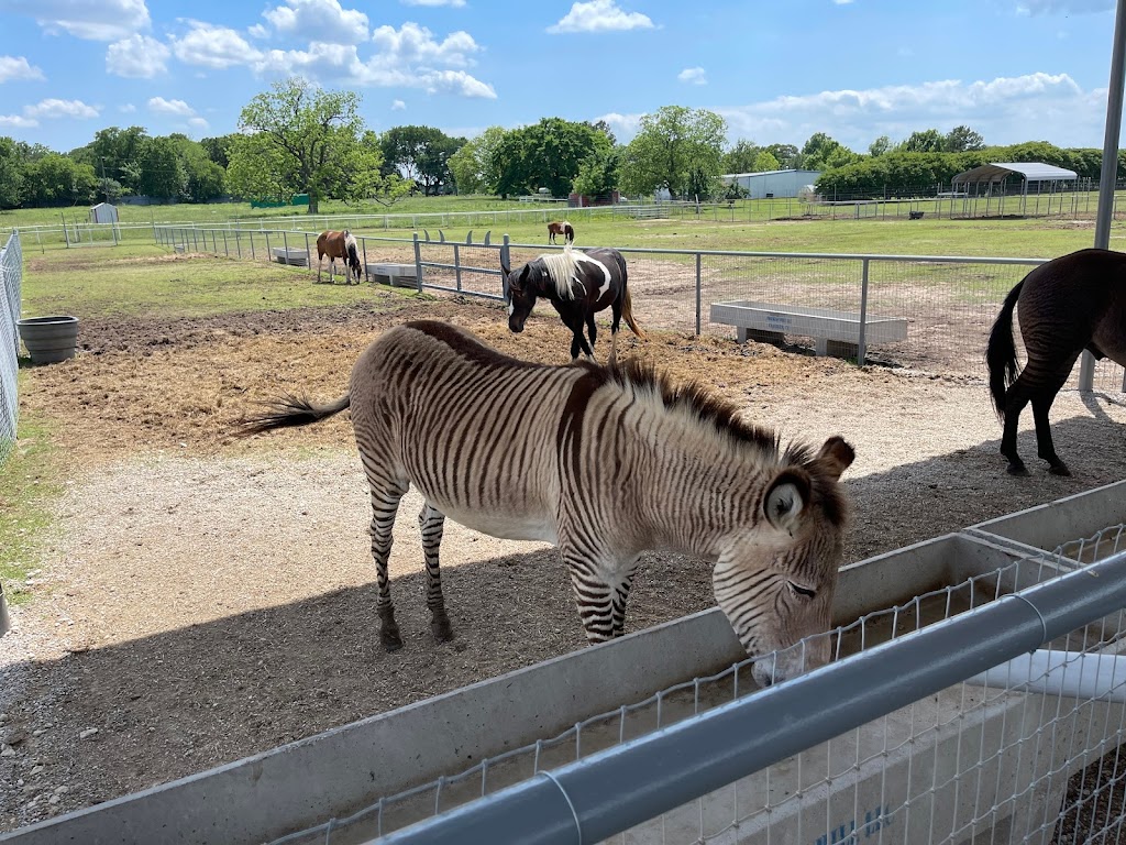 Sharkarosa Wildlife Ranch | 11670 Massey Rd, Pilot Point, TX 76258, USA | Phone: (940) 686-4600