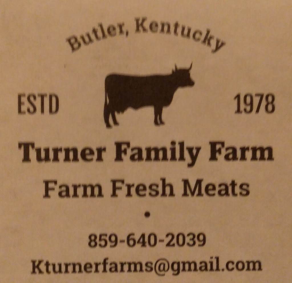 Turner Family cattle | KY-3185, Butler, KY 41006, USA | Phone: (859) 640-2039