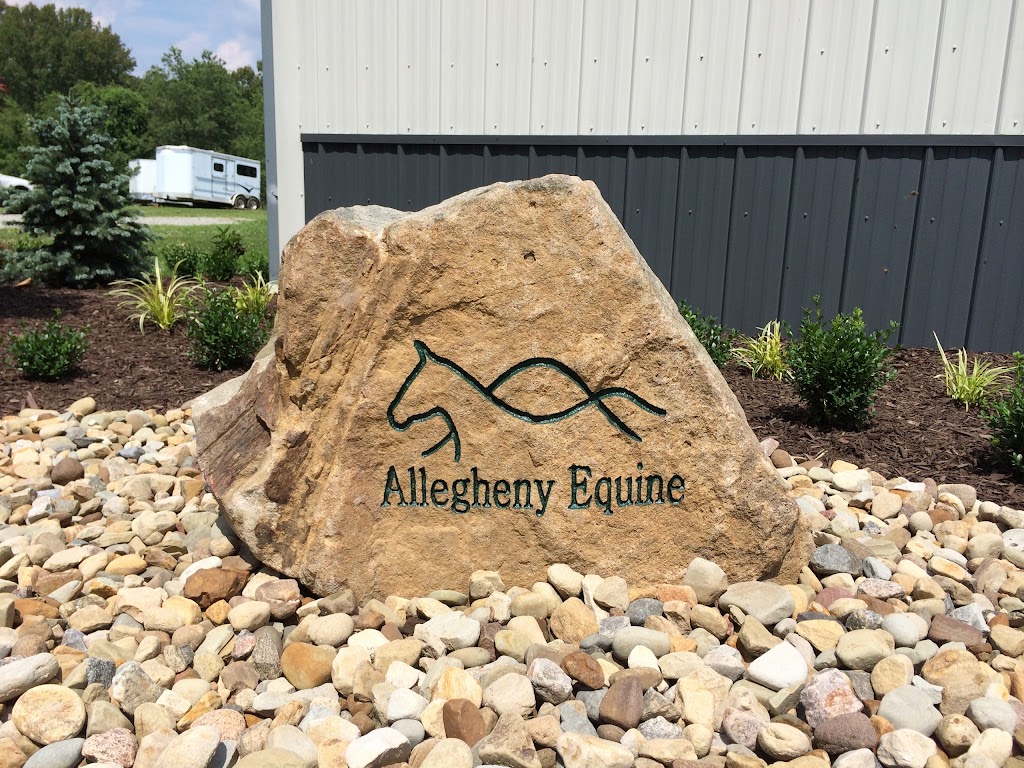Allegheny Equine Associates | 5015 Sampson Dr, Murrysville, PA 15668, USA | Phone: (724) 325-4615