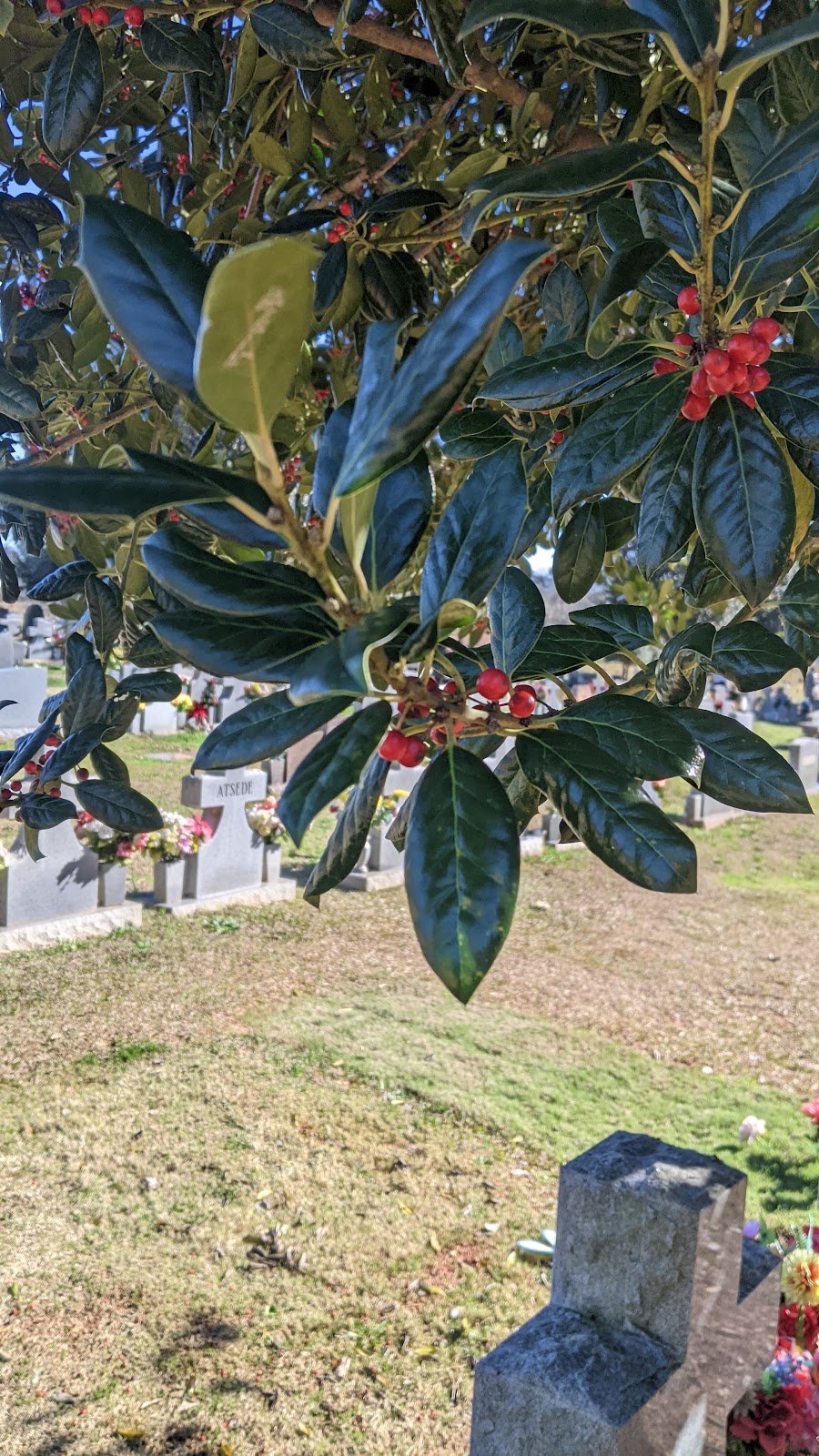 Melwood Cemetery | 5170 E Ponce de Leon Ave, Stone Mountain, GA 30083, USA | Phone: (404) 299-3966