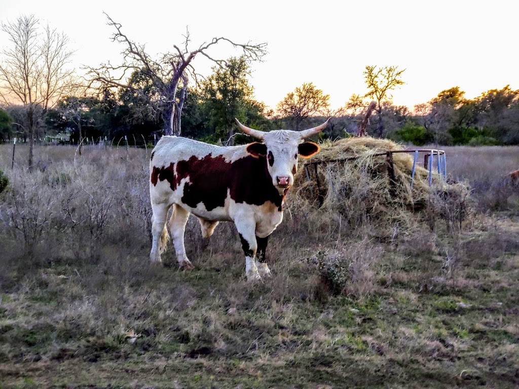 Lightning Ranch RV Park | 818 FM1283, Pipe Creek, TX 78063, USA | Phone: (830) 510-3959