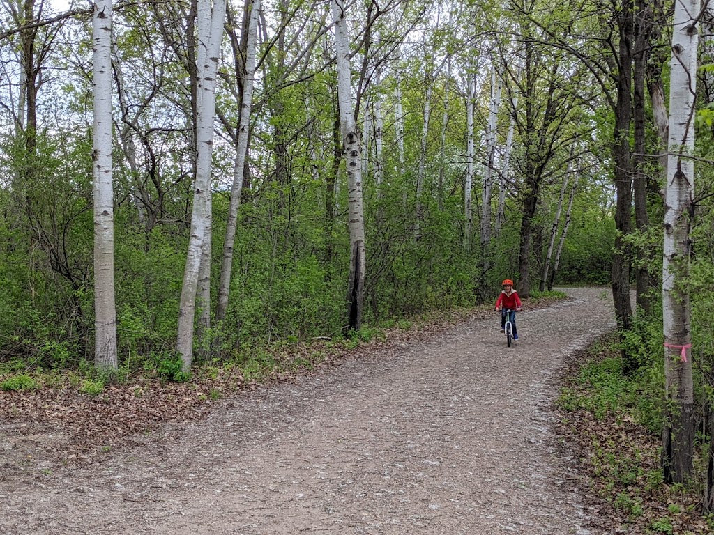 Lowry Nature Center | 7025 Victoria Dr, Victoria, MN 55386, USA | Phone: (763) 694-7650