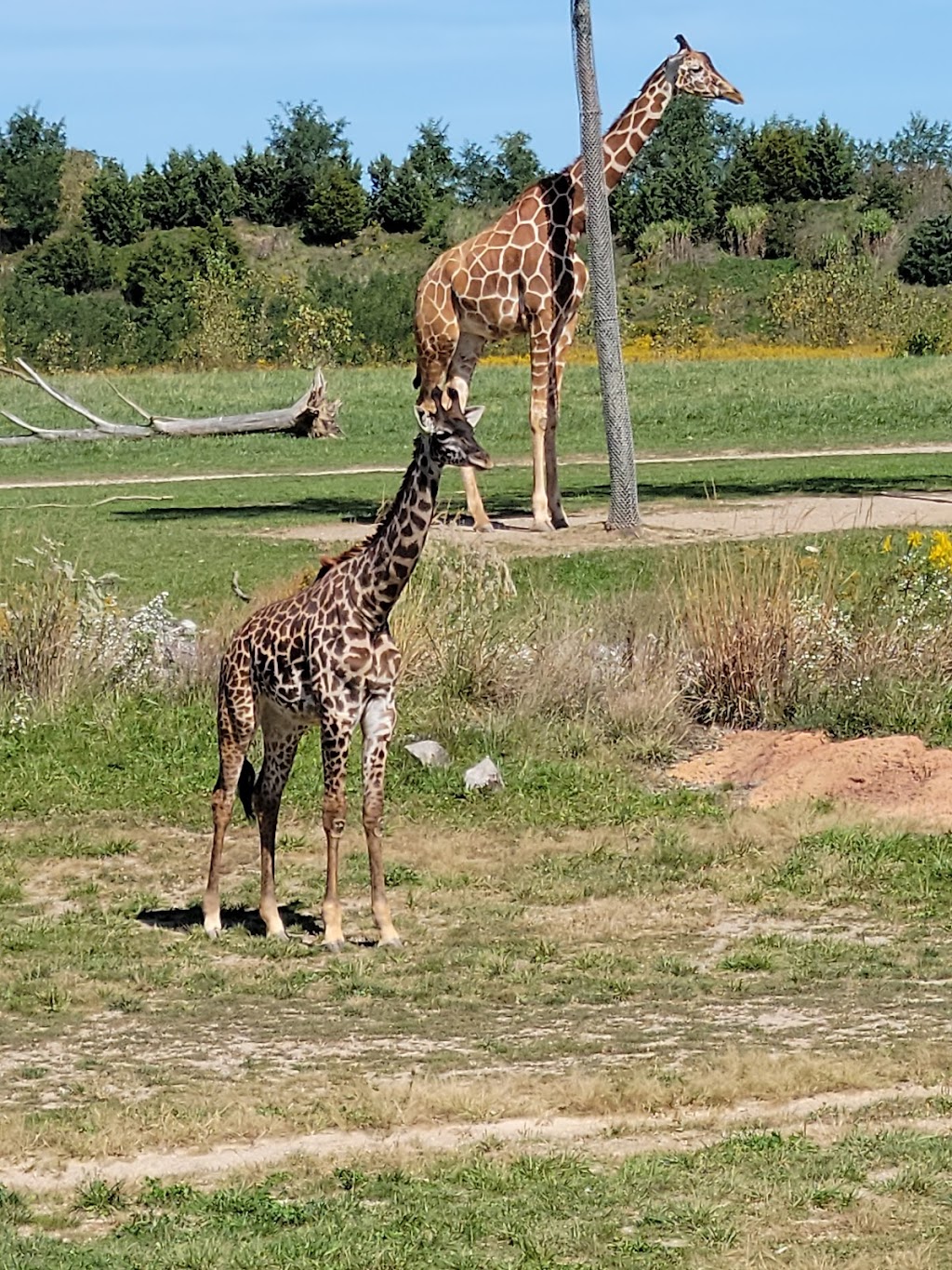 Columbus Zoo and Aquarium | 4850 W Powell Rd, Powell, OH 43065, USA | Phone: (614) 645-3400