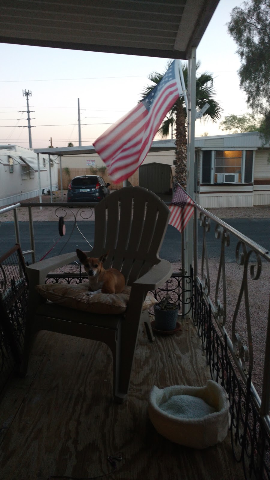 Sunset Mesa Mobile Home and RV Park | 929 N Delaware Dr, Apache Junction, AZ 85120, USA | Phone: (480) 671-0560