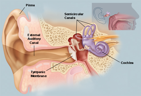 Foster Hearing Center | 7710 Montgomery Rd B, Cincinnati, OH 45236, USA | Phone: (513) 984-2701