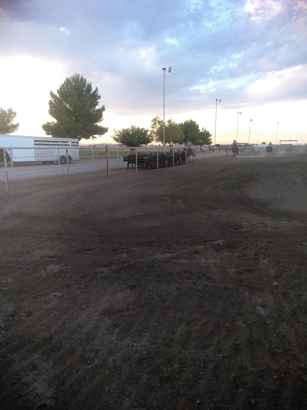 Lonestar Equestrian Team Roping Camp and Ranch Sorting | 350 S Attaway Rd, Coolidge, AZ 85128, USA | Phone: (520) 251-0737
