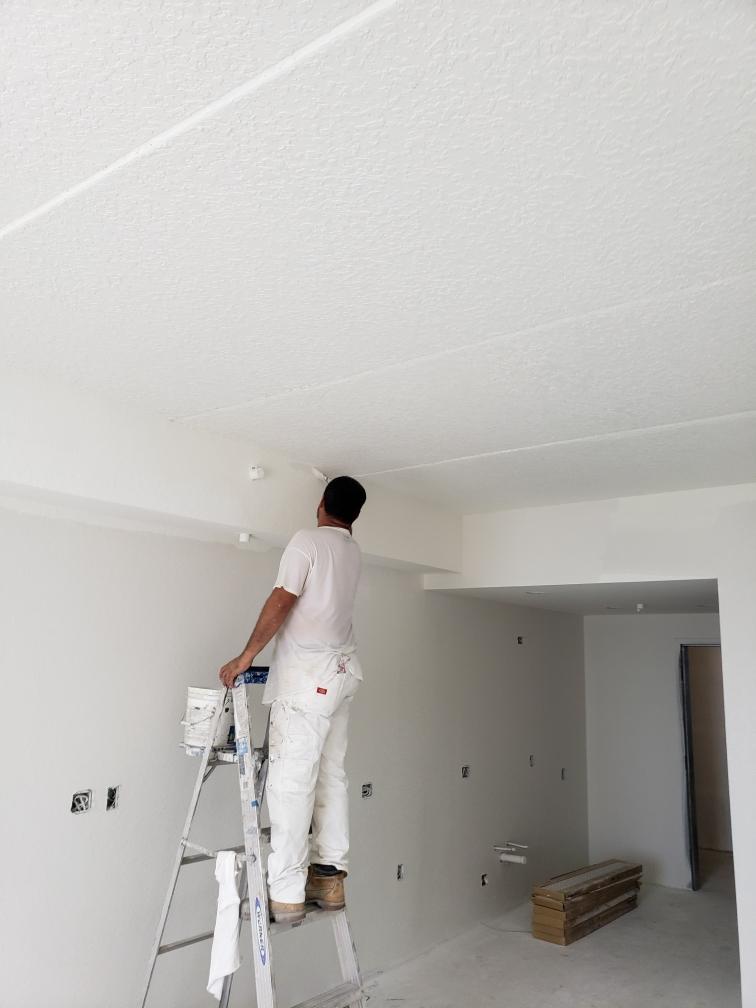 Craft Painting LLC | 1288 Fruitland Ave, Clearwater, FL 33764, USA | Phone: (813) 291-9310