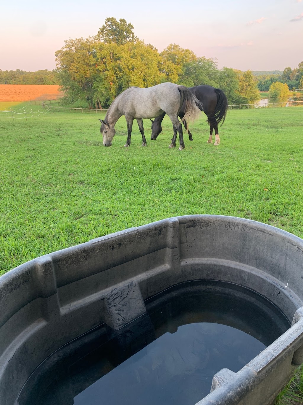 Travelers Rest Farm, where George Washington slept | 4801 Newtown Rd, St Stephens Church, VA 23148 | Phone: (804) 432-8474