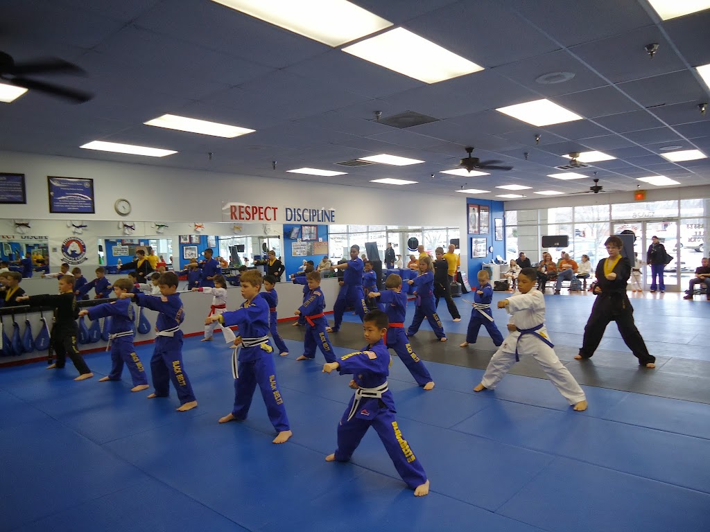 Dongs Karate School | 13626 Hull Street Rd, Midlothian, VA 23112 | Phone: (804) 739-8880