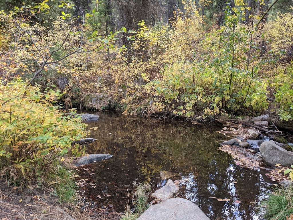 Hayfork Group Campground | ID-21, Idaho City, ID 83631, USA | Phone: (208) 392-6681