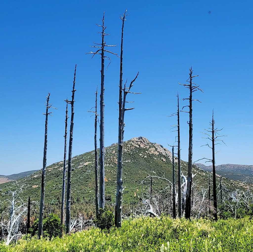 Cuyamaca Rancho State Park | 14592-14674 CA-79, Julian, CA 92036 | Phone: (760) 765-3023