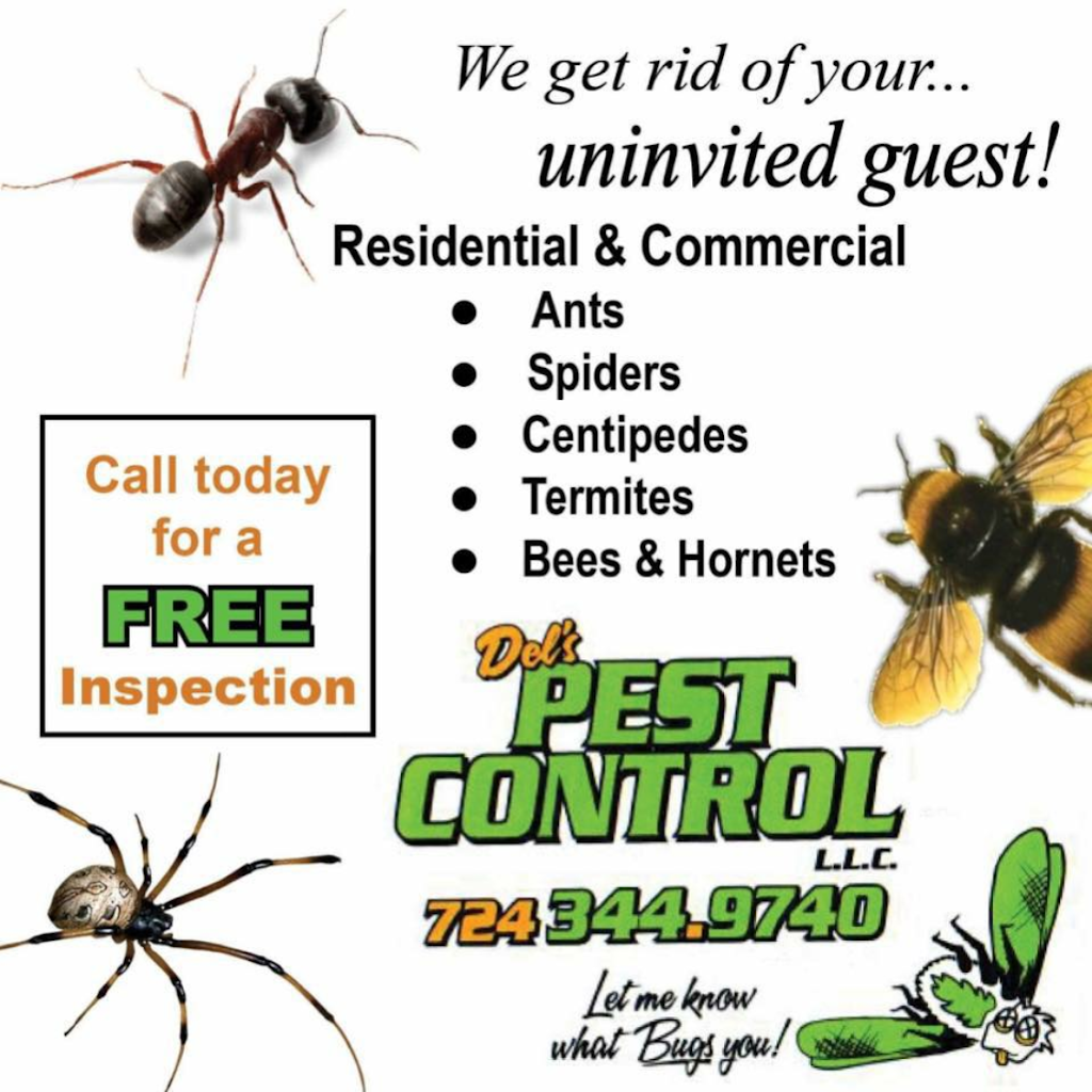 Dels Pest Control LLC. | Box 55, 120 Crest Ave, Charleroi, PA 15022, USA | Phone: (724) 344-9740