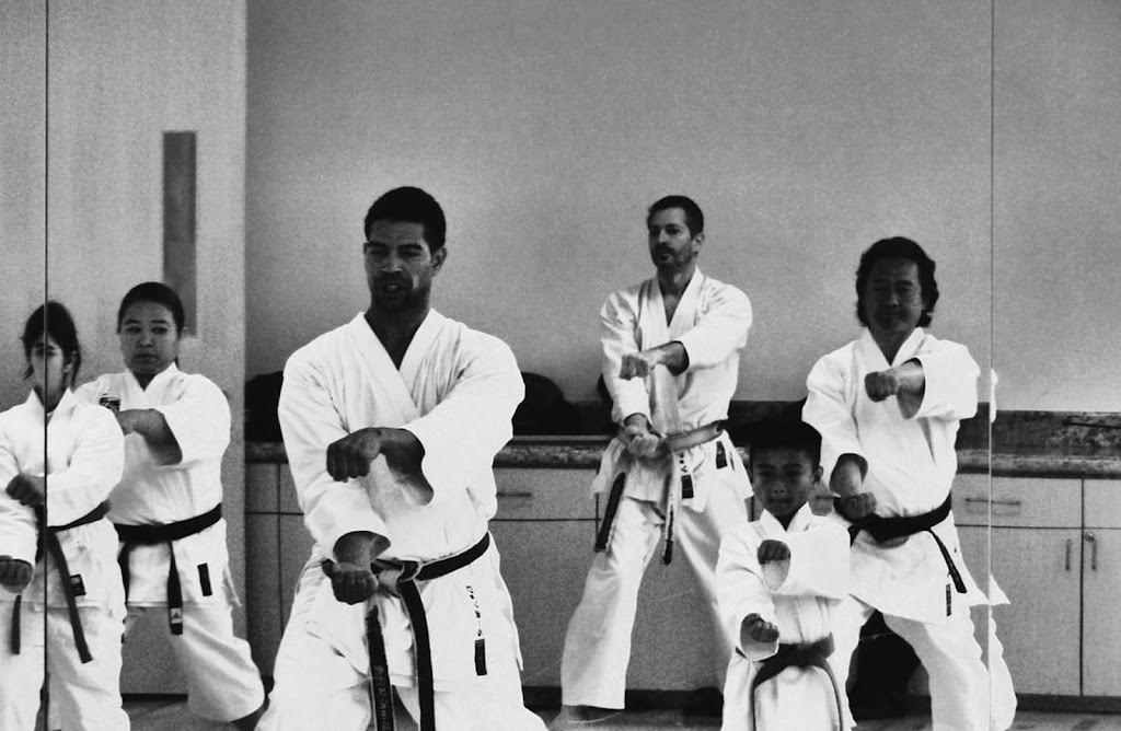 Seiwakai Karate of Silicon Valley | 110 S Jackson Ave, San Jose, CA 95116, USA | Phone: (650) 489-4938