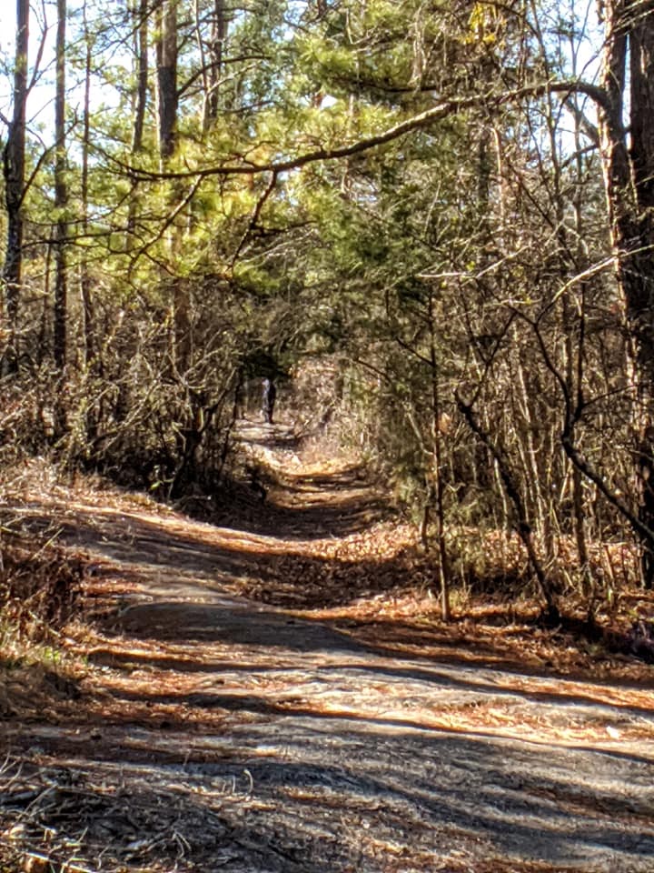 Panola Mountain State Park Office and Visitor Center | 2620 Georgia 155 SW, Stockbridge, GA 30281, USA | Phone: (770) 389-7801