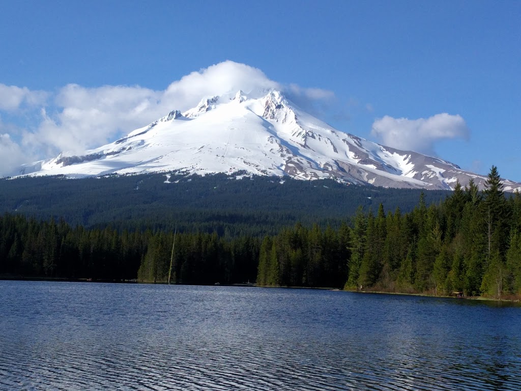 East Holladay Park and Dog Park | 12999 NE Holladay St, Portland, OR 97230, USA | Phone: (503) 823-7529