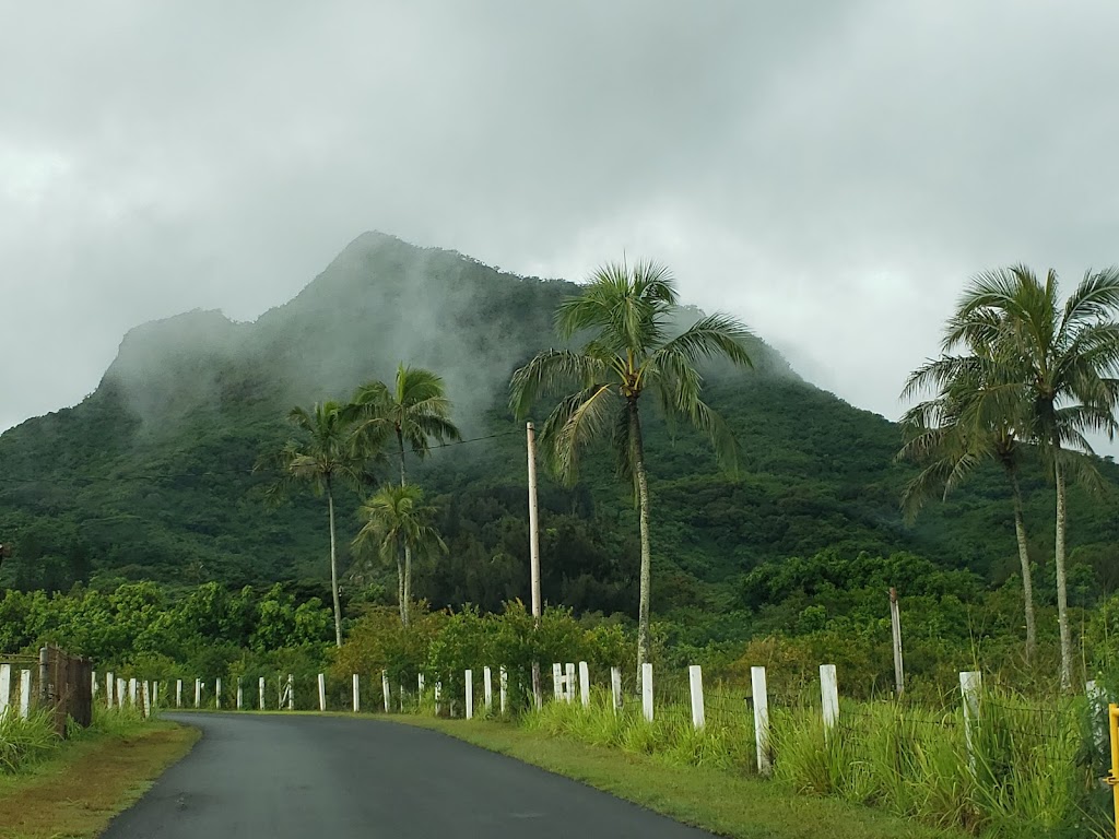 Olomana School | 42-522 Kalanianaʻole Hwy, Kailua, HI 96734, USA | Phone: (808) 266-7866