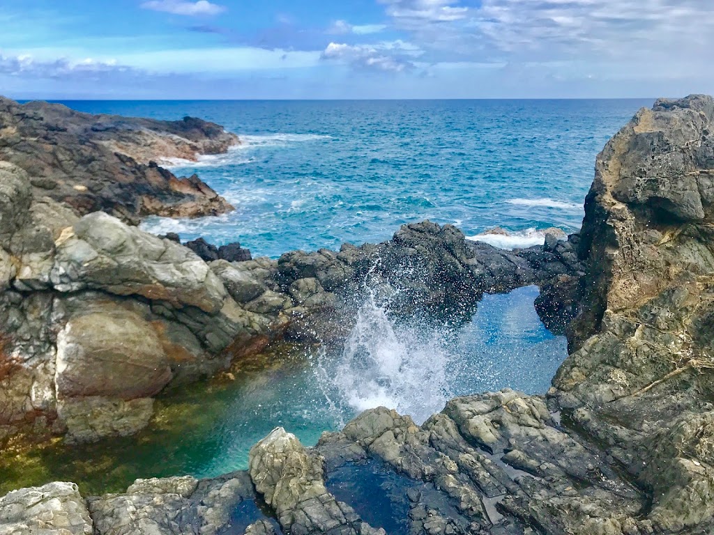 Kailua Beach Adventures | 130 Kailua Rd, Kailua, HI 96734, USA | Phone: (808) 262-2555