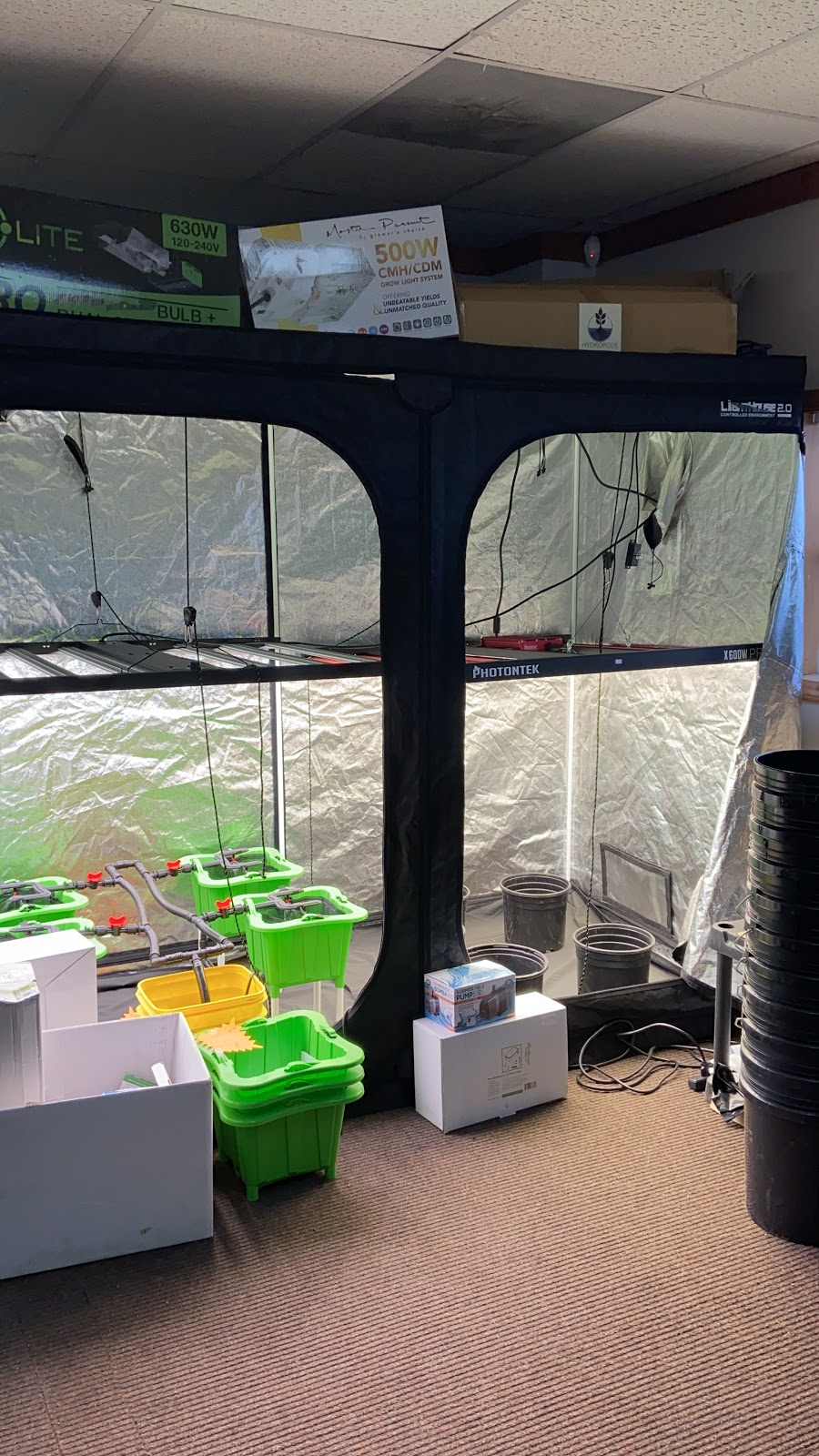 Green Zone Hydroponics | 2928 Southwestern Blvd, Orchard Park, NY 14127, USA | Phone: (716) 677-9663