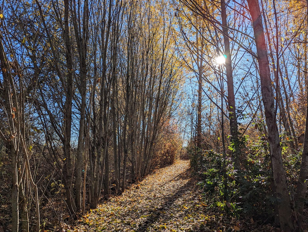 Dabblers Marsh Trail | Fernhill Wetlands Nature Trail, Forest Grove, OR 97116, USA | Phone: (503) 681-3600