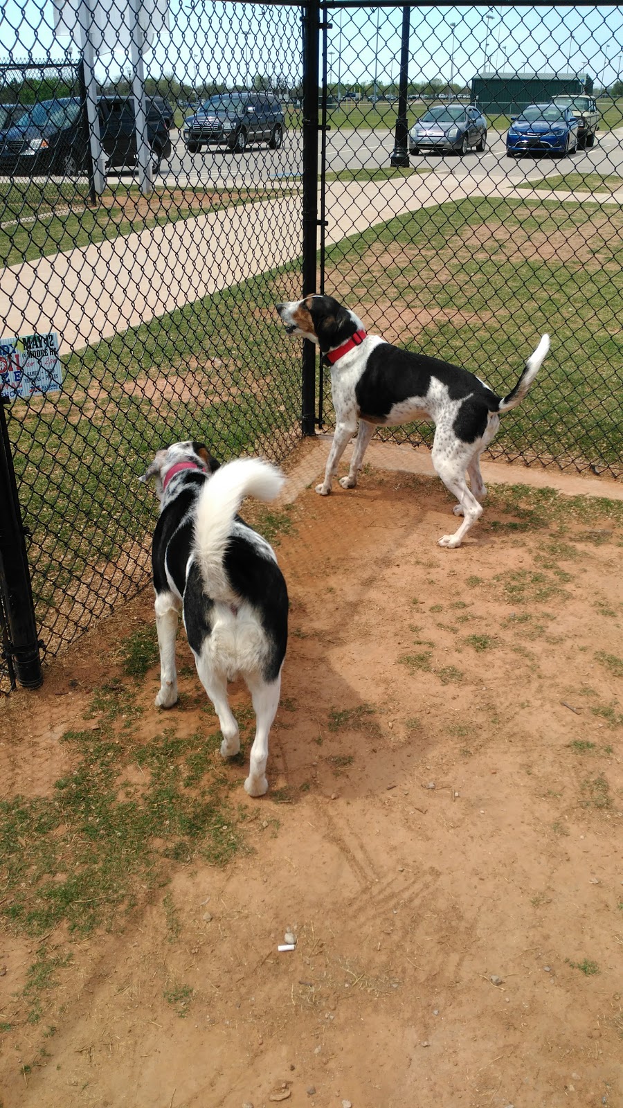 Happy Tails Dog Park | 1903 NE 12th St, Moore, OK 73160, USA | Phone: (405) 793-5090