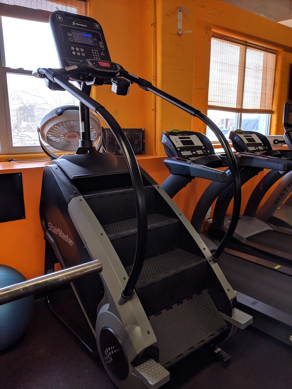 Fitness GalleryNY | 1601 Gravesend Neck Rd, Brooklyn, NY 11229, USA | Phone: (929) 433-5551