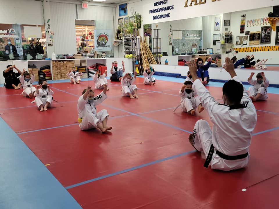 Master Kims Tiger Tae Kwon Do | In the Kinnelon Mall, 25 Kinnelon Rd, Kinnelon, NJ 07405, USA | Phone: (973) 838-1000