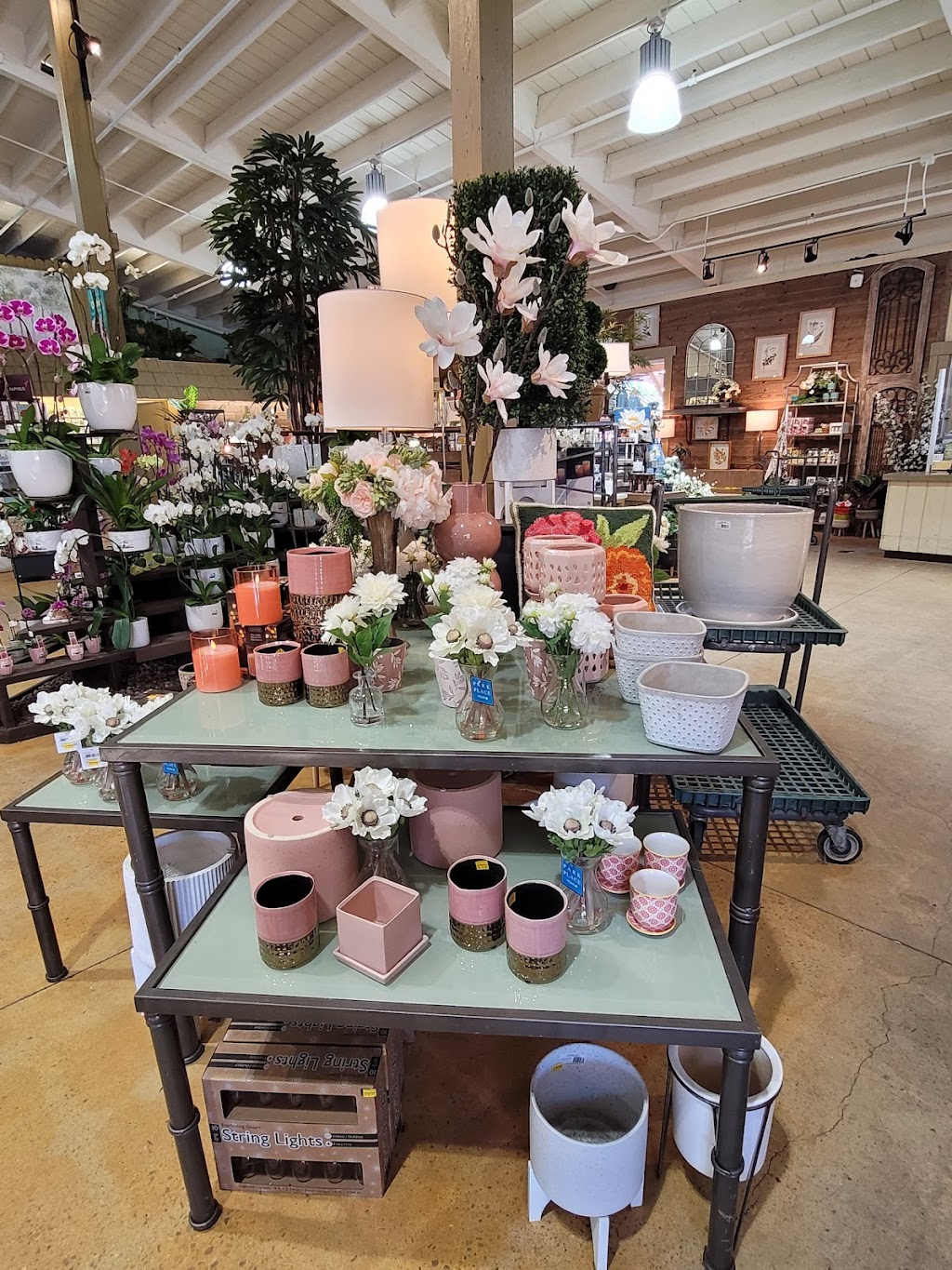 Armstrong Garden Centers | 1500 East Coast Hwy, Newport Beach, CA 92660, USA | Phone: (949) 644-9510