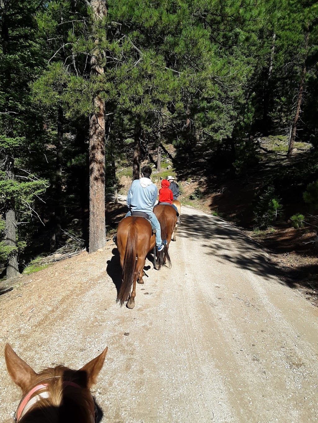 Old Stage Ranch Cabin | 6725 Old Stage Rd, Colorado Springs, CO 80906, USA | Phone: (719) 648-4036