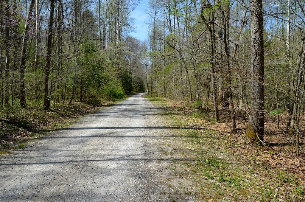 Turkey Foot Campground | Forest Service Road 345, McKee, KY 40447, USA | Phone: (606) 864-4163