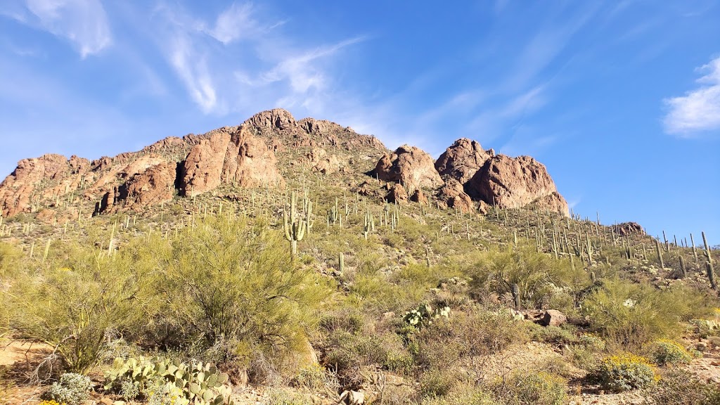 David Yetman West Trailhead | 6475 W Gates Pass Rd, Tucson, AZ 85745, USA | Phone: (520) 724-9999