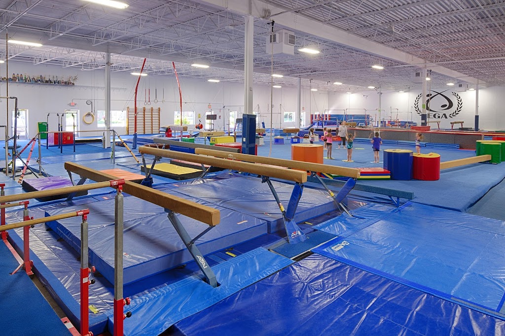 Elite Gymnastics Academy | 12500 Chowen Ave S, Burnsville, MN 55337, USA | Phone: (952) 882-9012