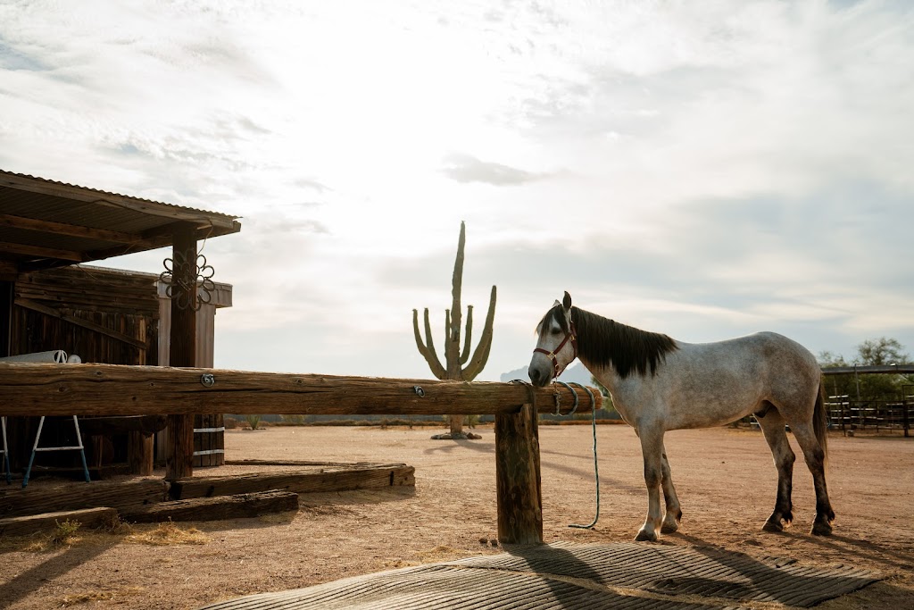 Superstition Stables Horse Boarding | 2151 N Warner Dr, Apache Junction, AZ 85120 | Phone: (480) 620-3253