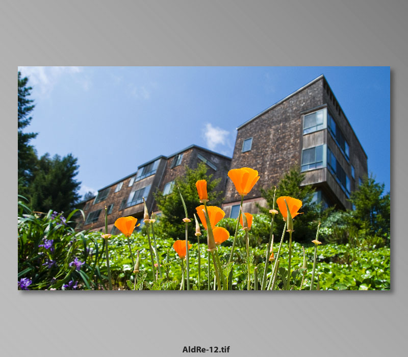 UCSF Housing Services | 30 Adolph Sutro Ct, San Francisco, CA 94143, USA | Phone: (415) 514-4550