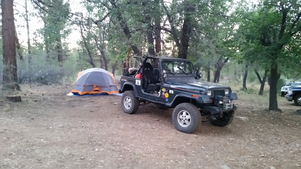 Green Spot Equestrian Group | 1908 Wildhorse Meadows Rd, Big Bear, CA 92314, USA | Phone: (877) 444-6777