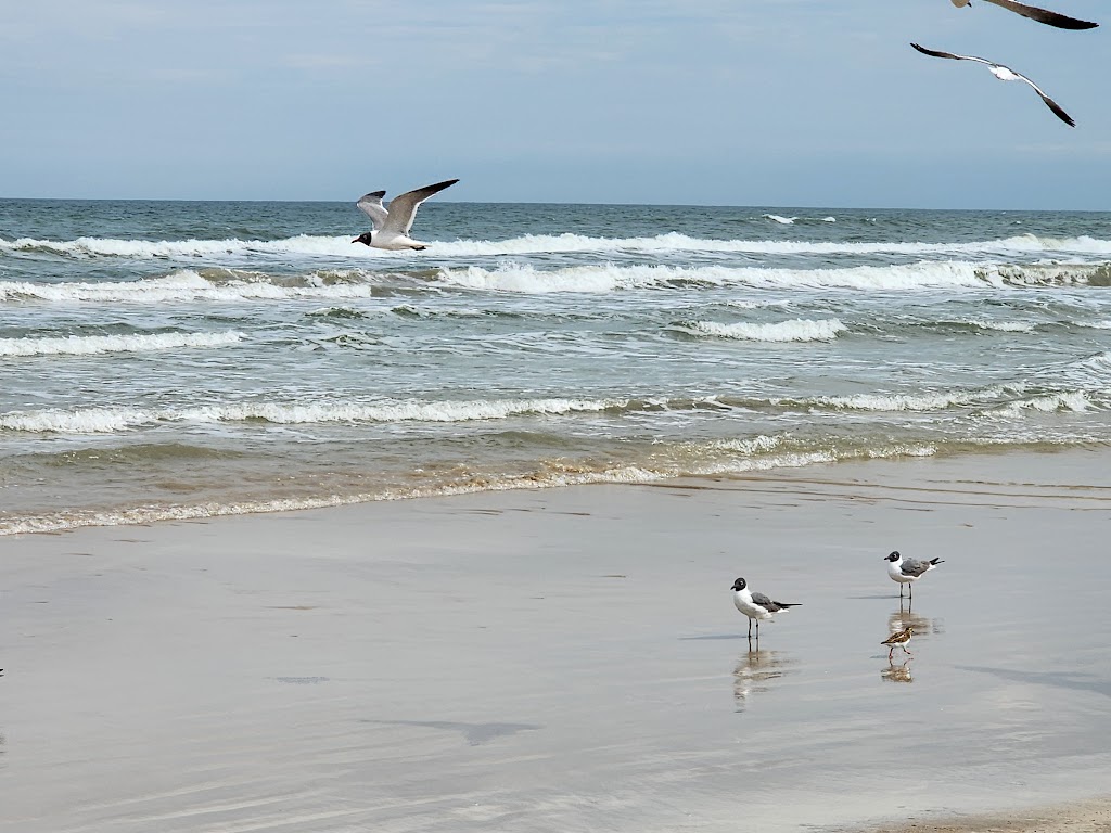 Padre Island National Seashore | Texas, USA | Phone: (361) 949-8068