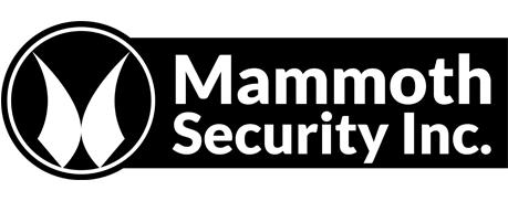 Mammoth Security Inc. New Britain | 1 Hartford Square #25, New Britain, CT 06052 | Phone: (860) 748-4292