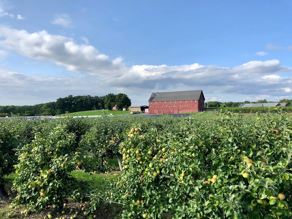 Belkin Family Lookout Farm - U-Pick Fruit, Dining & Market | 89 Pleasant St S, Natick, MA 01760, USA | Phone: (508) 745-3697