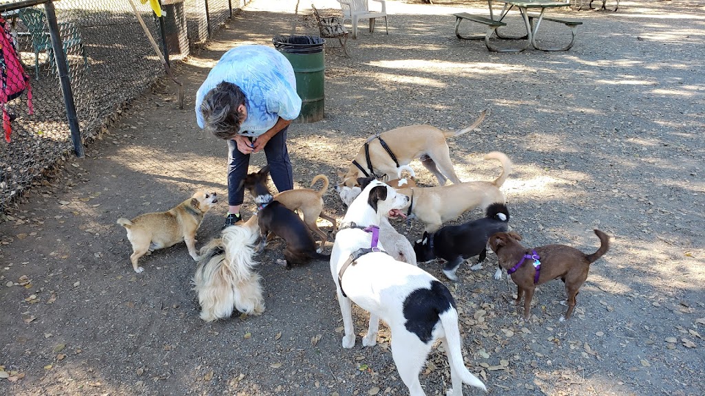 Earl Warren Dog Park | 4594 Paradise Knolls, Castro Valley, CA 94546, USA | Phone: (510) 881-6700