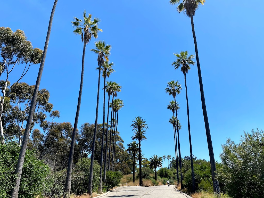 Elysian Park Trail | Elysian Park Dr, Los Angeles, CA 90012, USA | Phone: (213) 485-5054