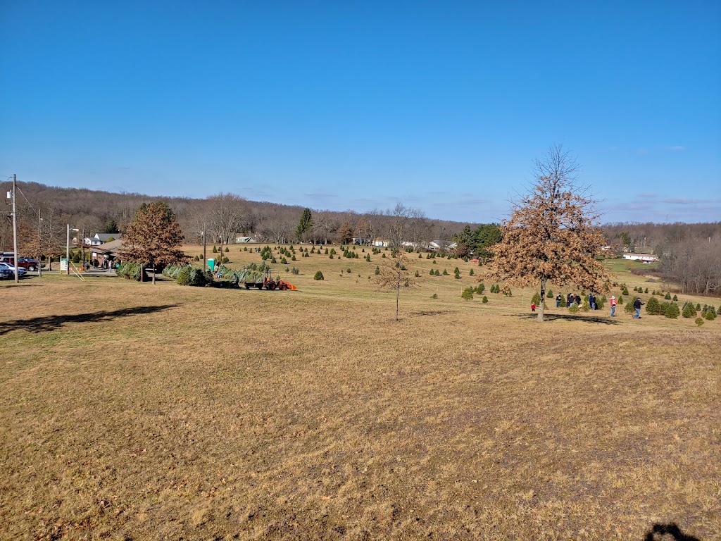 Cyphers Christmas Tree Farm | 179 Wise Rd, Butler, PA 16002, USA | Phone: (724) 477-8733