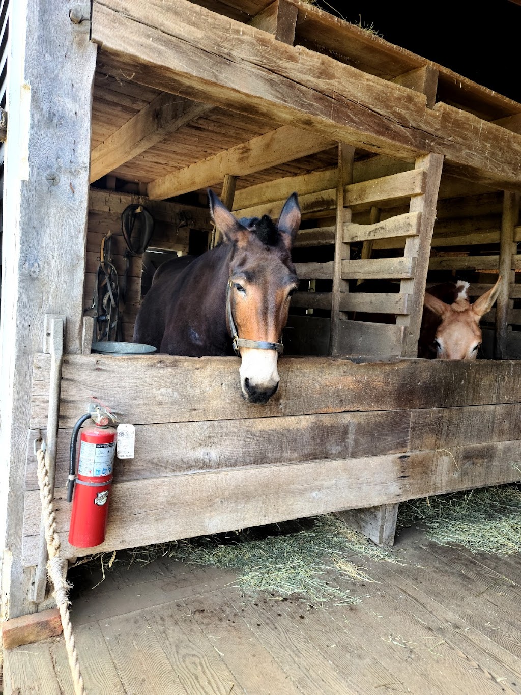 Historic Longstreet Farm | 44 Longstreet Rd, Holmdel, NJ 07733, USA | Phone: (732) 946-3758