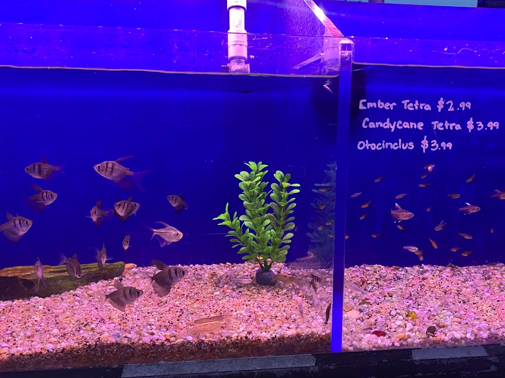 Age of Aquariums | 2642 Cherry Ave, Signal Hill, CA 90755, USA | Phone: (562) 438-6252