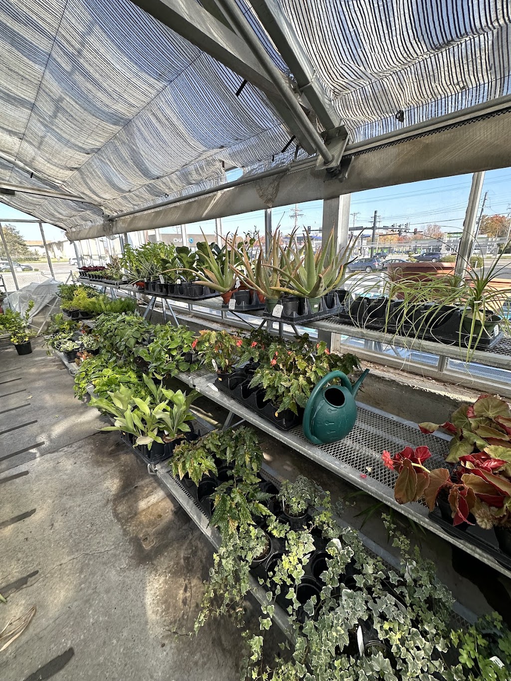 Timberwinds Nursery | 54 Clarkson Rd, Ellisville, MO 63011, USA | Phone: (636) 227-0095