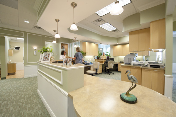 Blue Heron Dentistry: Heather Maze DDS | 4645 Medina Rd, Copley, OH 44321, USA | Phone: (330) 937-9855