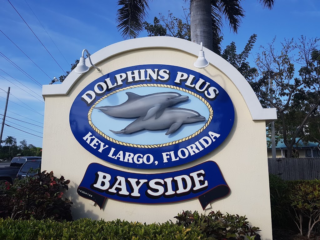Dolphins Plus Bayside | 101900 Overseas Hwy, Key Largo, FL 33037, USA | Phone: (305) 451-4060
