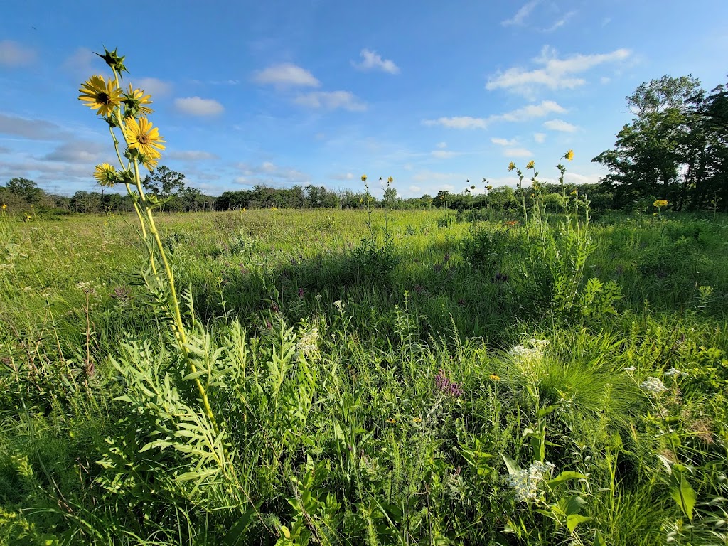 Somme Prairie Nature Preserve | 45R9+6P, Northbrook, IL 60062, USA | Phone: (800) 870-3666