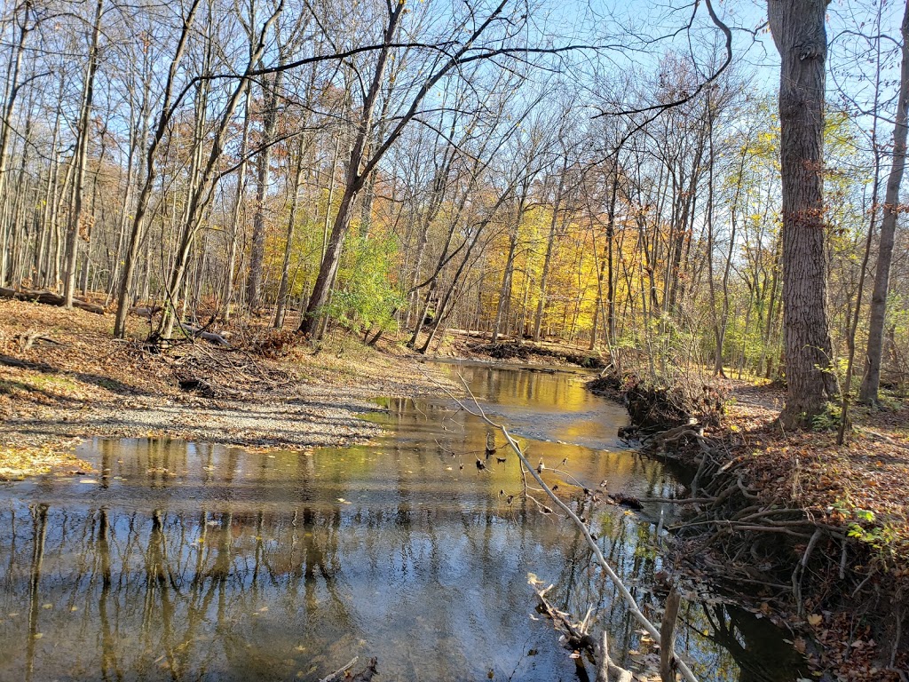 Douglas Evans Nature Preserve | 31845 Evergreen Rd, Beverly Hills, MI 48025, USA | Phone: (248) 646-6404