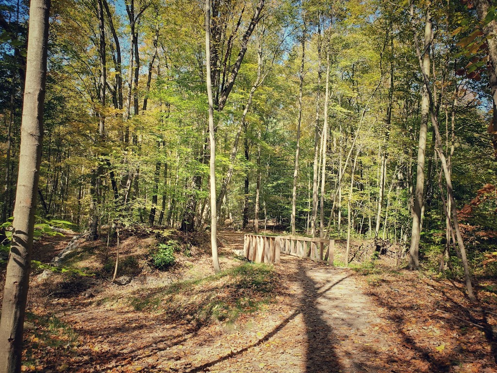 Holbrook Hollows | 7250 Country Ln, Chagrin Falls, OH 44023, USA | Phone: (440) 286-9516 Holbrook Hollows | 7250 Country Ln, Chagrin Falls, OH 44023, USA | Phone: (440) 286-9516