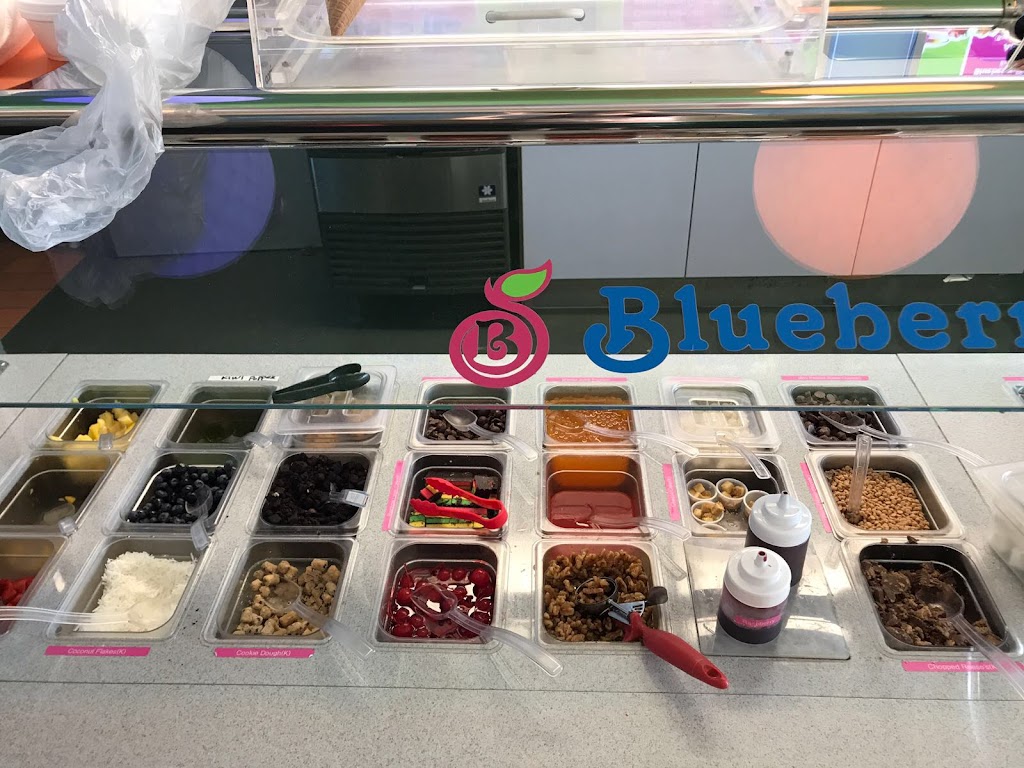 Blueberry Mahwah Frozen Yogurt, Açaí Bowl, Bubble Tea, Smoothie | 117 Franklin Turnpike, Mahwah, NJ 07430, USA | Phone: (201) 252-2757