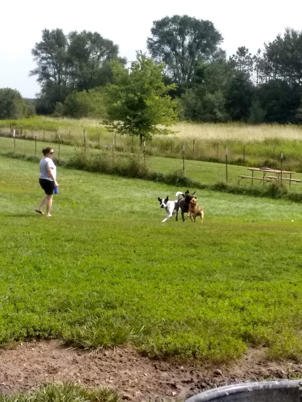 Paw Print Dog Park | 2701 S Oakhill Ave, Janesville, WI 53546, USA | Phone: (608) 755-3030